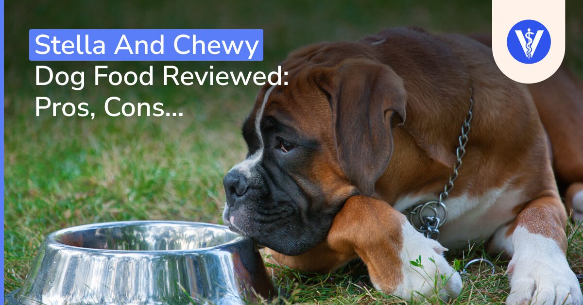 Stella and Chewy Review