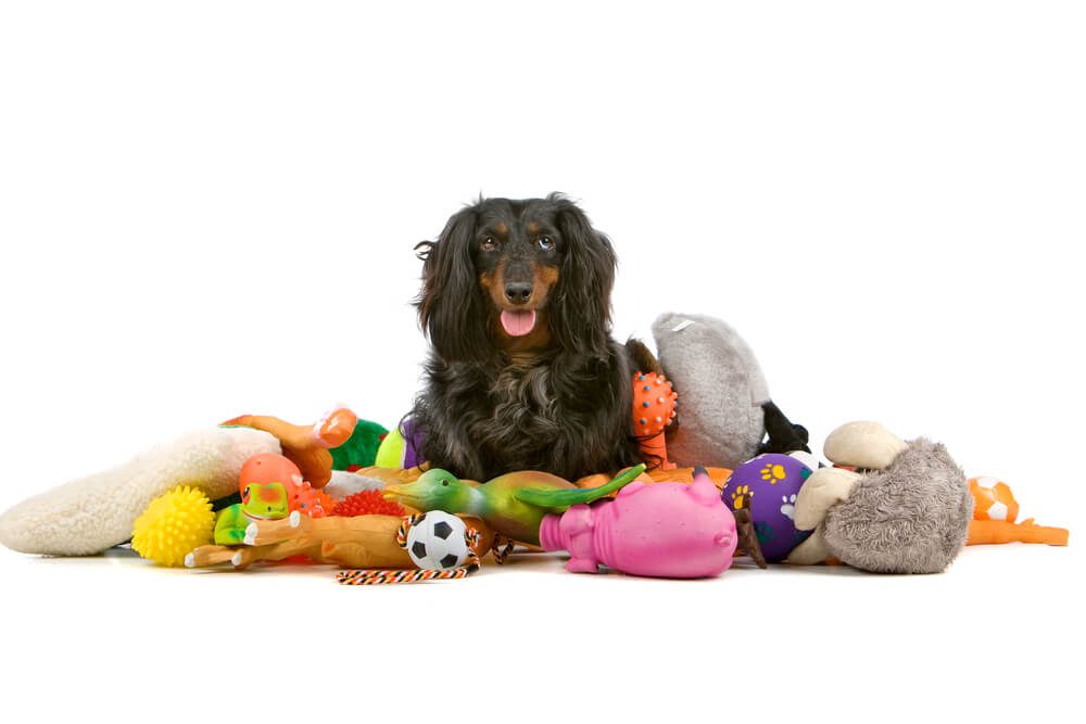 What Comes in a Dog Toy Subscription Box