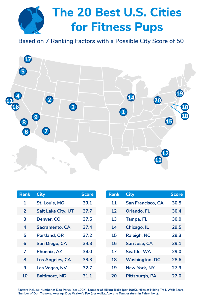 dog fitness best cities