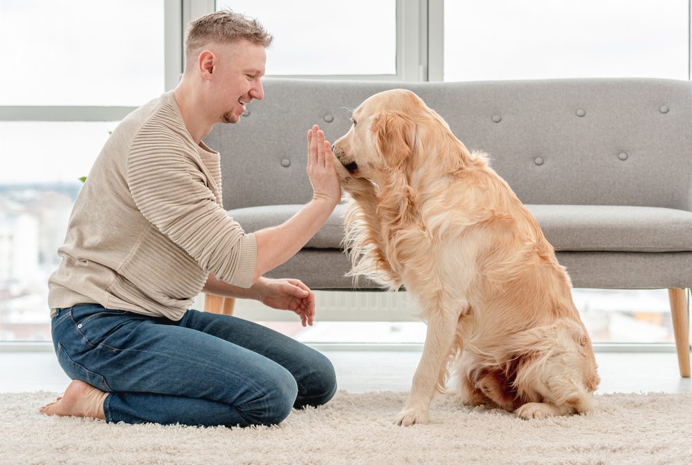 We are taking you to Amazon Total Vet giving your dog galliprant