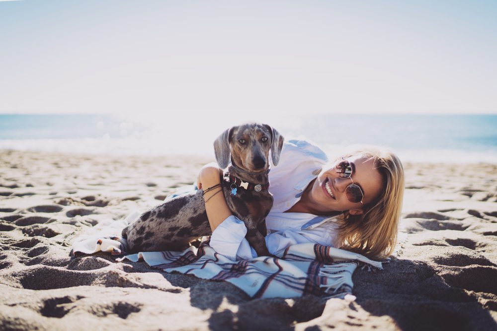 giving your dog neosporin
