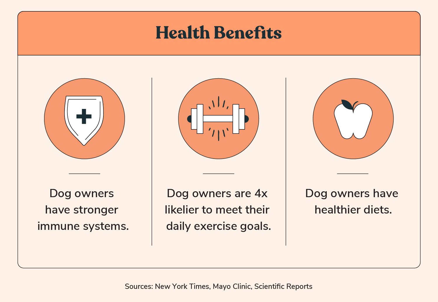 Total Vet health benefits of having a dog