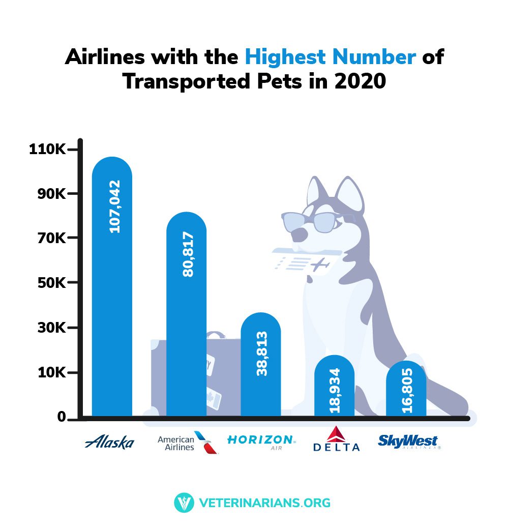 Total Vet pet friendly airline transport numbers