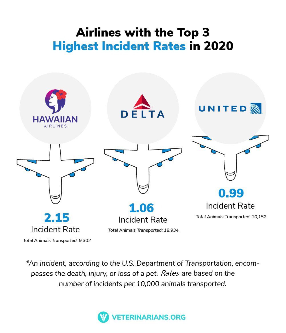 Total Vet pet friendly airlines incident rates for top airlines 2021