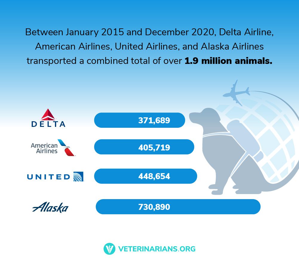 Total Vet pet friendly airlines top carriers