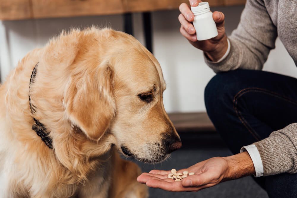 pet health products