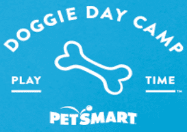 Total Vet pet smart doggie day camp