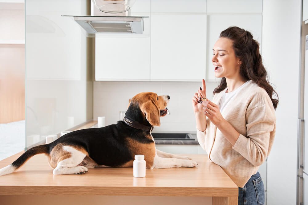 Pawfy Probiotics for Dogs Reviewed Pros Cons and Ingredient Analysis