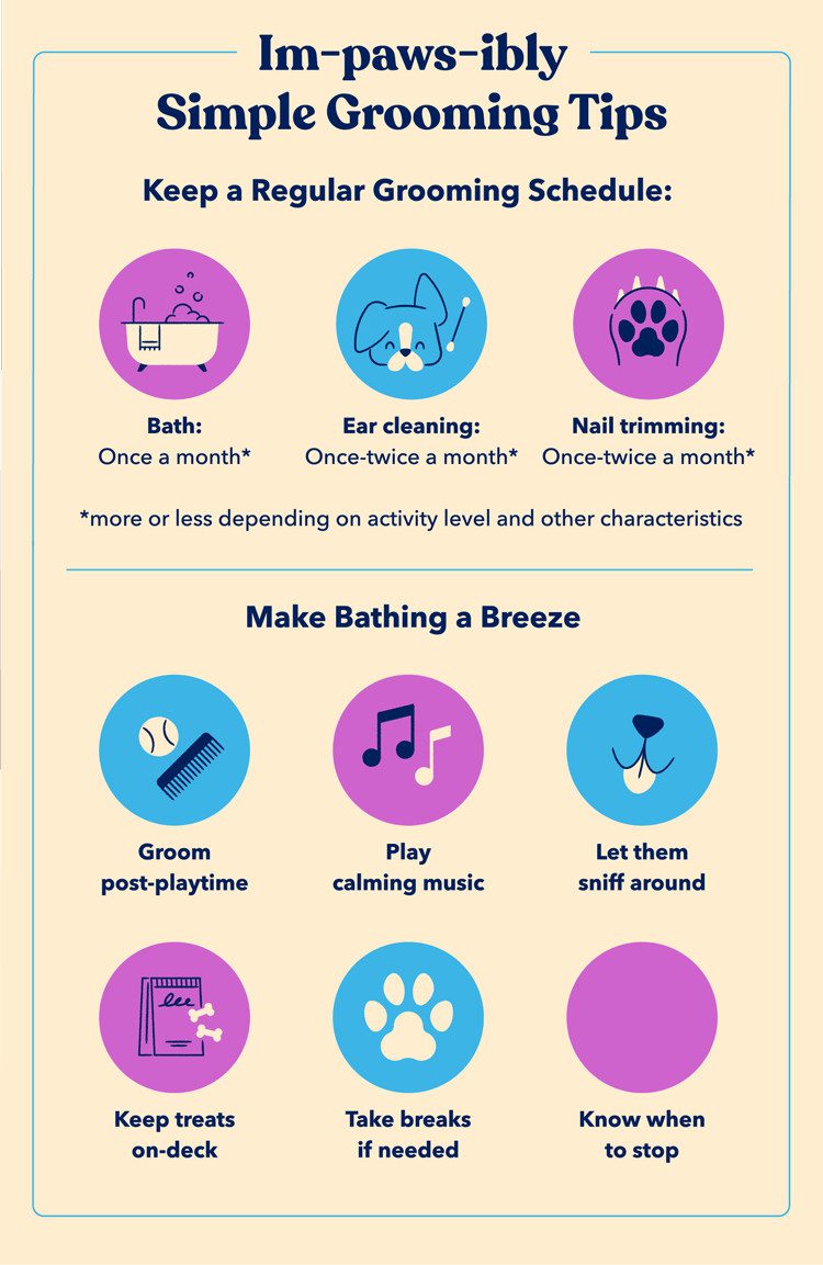 simple-grooming-tips