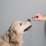 Vitamin D3 for Dogs