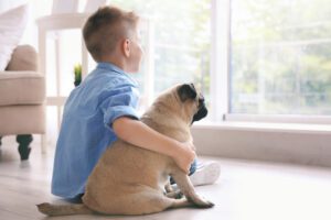 Total Vet Whale Eye in Dogs What Is It and What Does It Mean