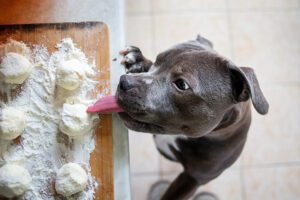 thanksgiving food safety