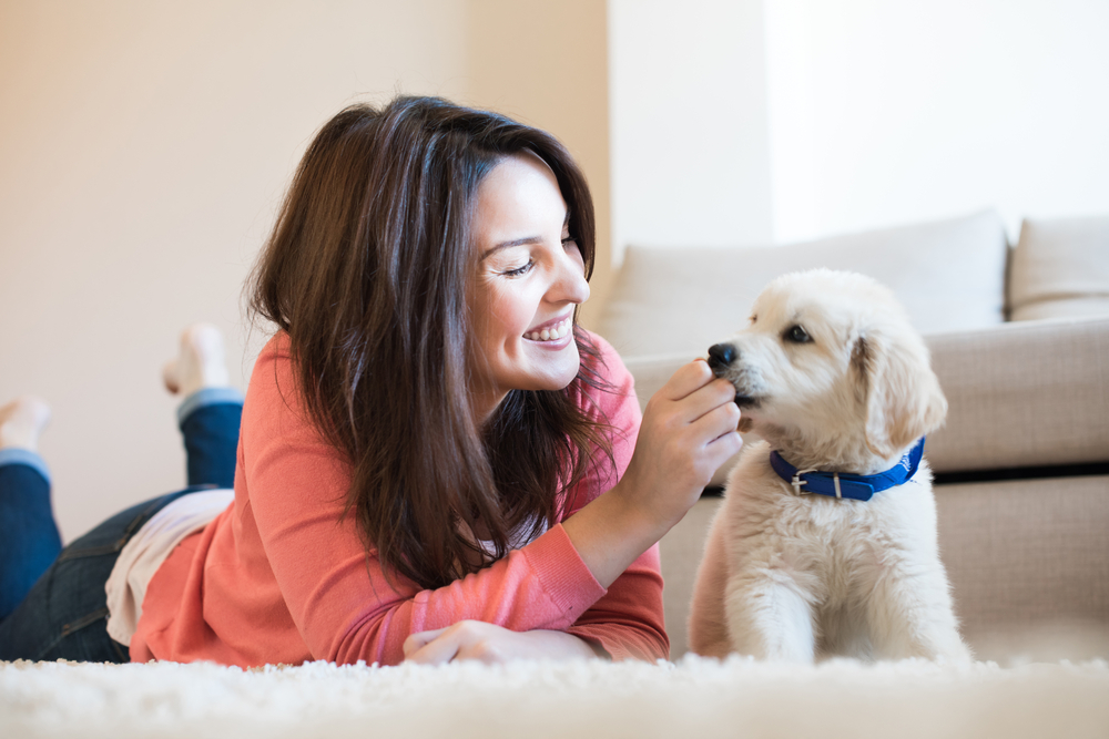 Dog getting a Pet Honesty supplement