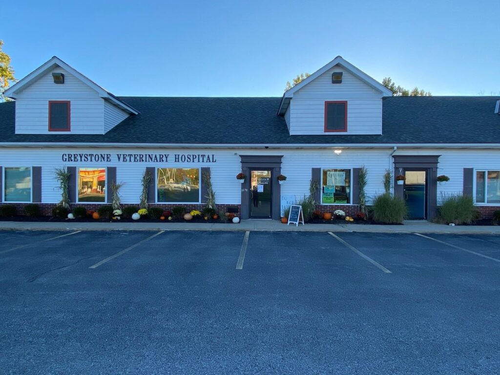 Best Vets in ClevelandGreystone Veterinary Hospital Urgent Care Total Vet Best Vets in Cleveland Greystone Veterinary Hospital Urgent Care