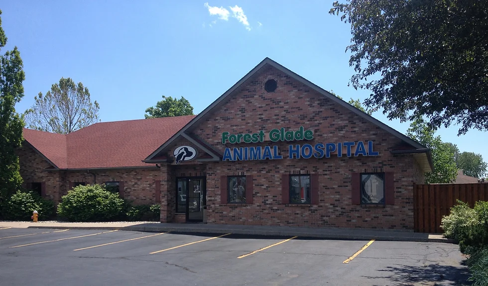 Best Vets in DetroitForest Glade Animal Hospital Total Vet Best Vets in Detroit Forest Glade Animal Hospital