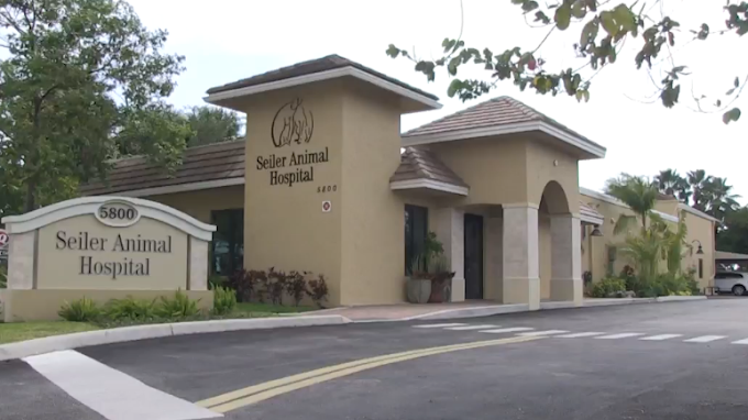 Best Vets in Fort LauderdaleSeiler Animal Hospital Total Vet Best Vets in Fort Lauderdale Seiler Animal Hospital