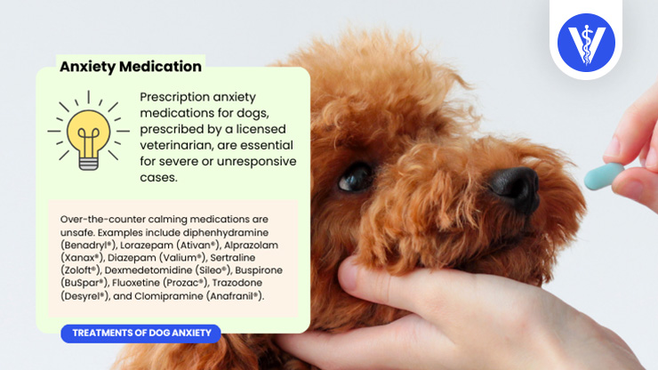 Dog Anxiety Treatment Total Vet Dog Anxiety Treatment
