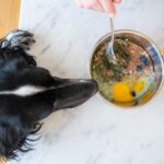 Chicken feet for dogs