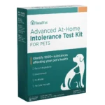 Dog Allergy Test