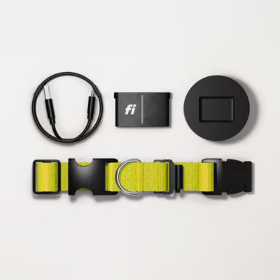 Fi Smart Dog Collar 