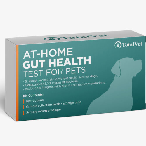 At Home Gut Health Test for Dogs