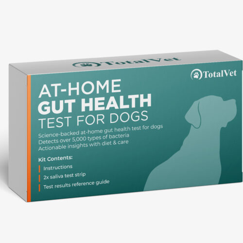 Gut Health Test for Dogs